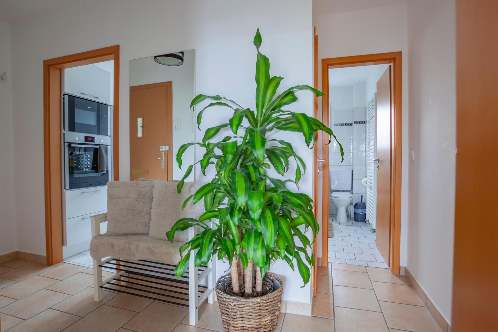 Exclusive 2-Room-City-Apartment - Contactless Check-In Hannover Exterior photo
